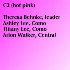 c2 hot pink link